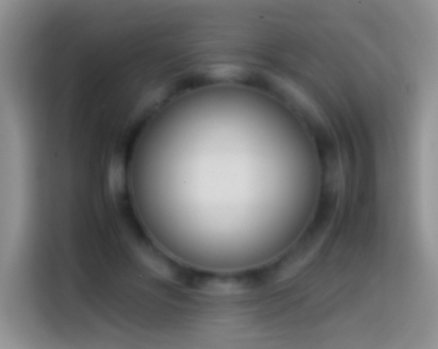 X0000113870502200910011115