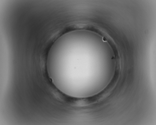 X0000113870505200910011115