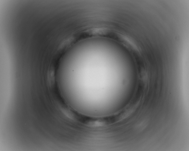 X0000113870506200910011115