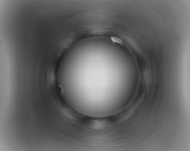 X0000113870508200910011115