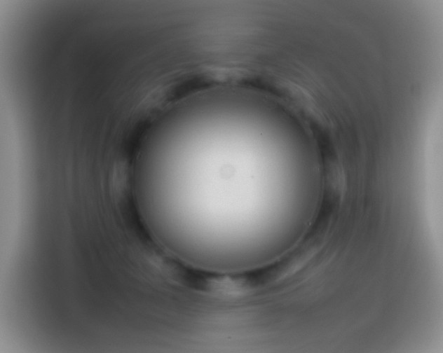 X0000113870511200910011115