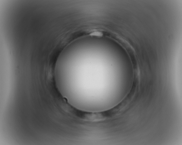 X0000113870517200910011115