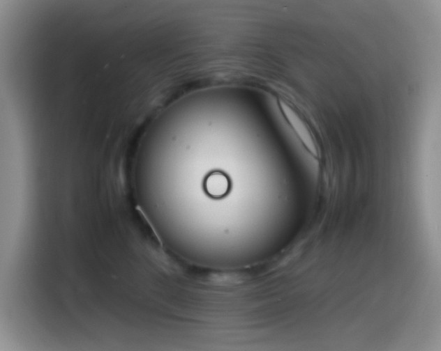 X0000113870520200910011115