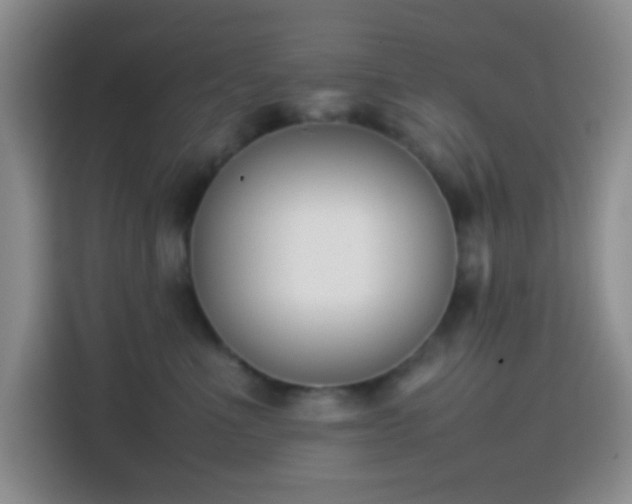 X0000113870523200910011115