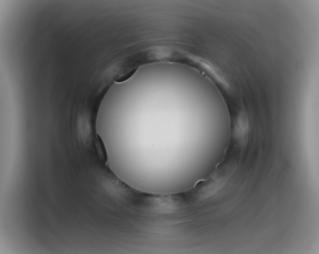 X0000113870524200910011115