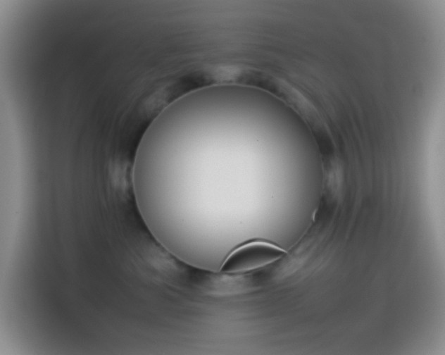 X0000113870525200910011115