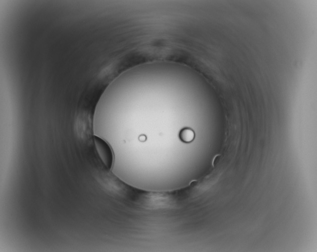 X0000113870528200910011115