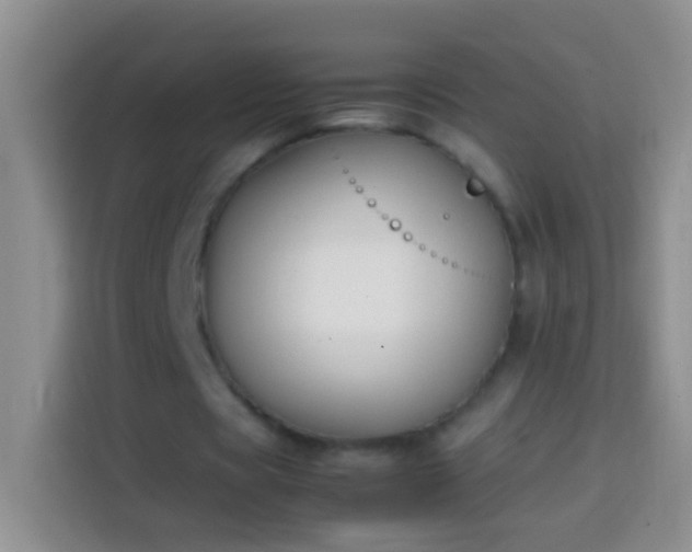 X0000113870529200910011114