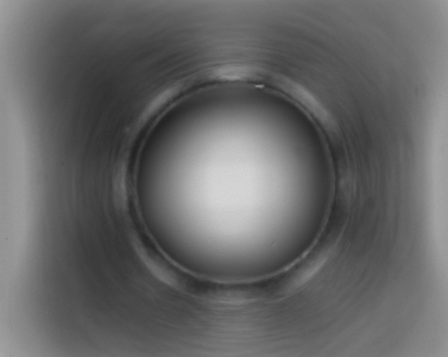 X0000113870530200910011114