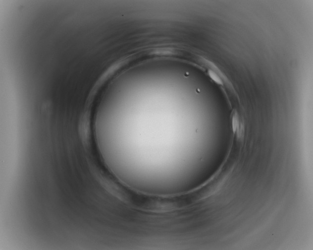 X0000113870531200910011114