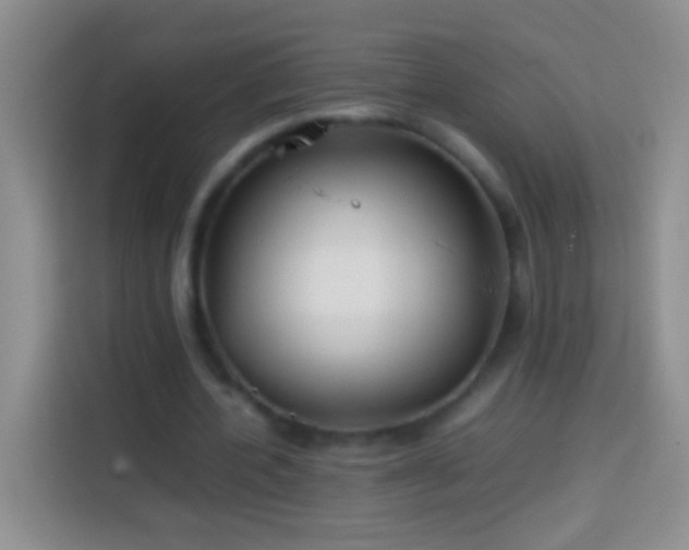 X0000113870532200910011114