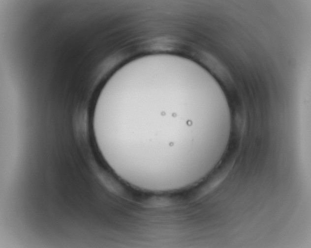 X0000113870534200910011114