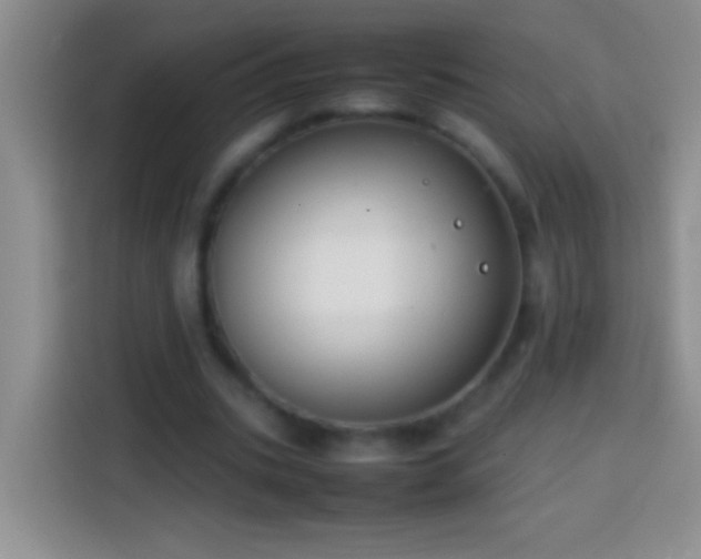 X0000113870535200910011114