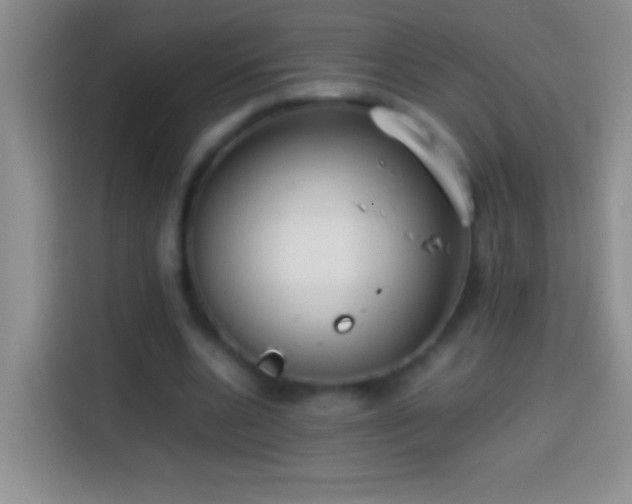 X0000113870536200910011114