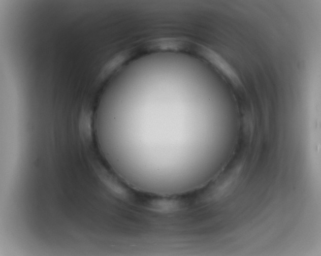 X0000113870537200910011114