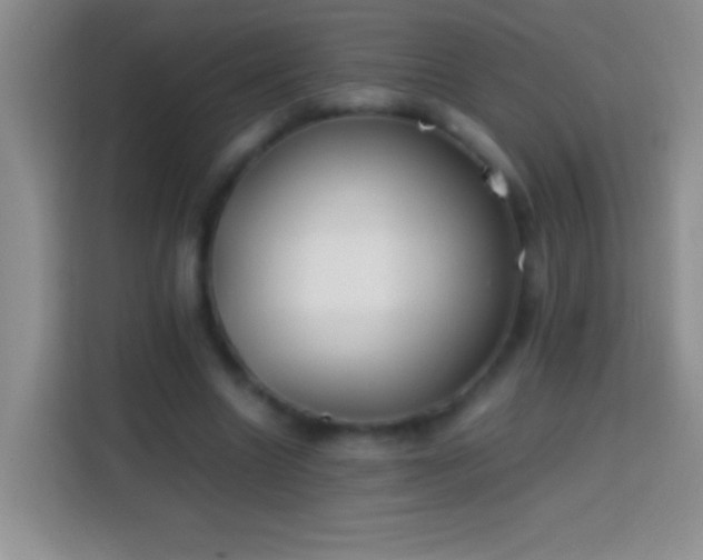 X0000113870538200910011114