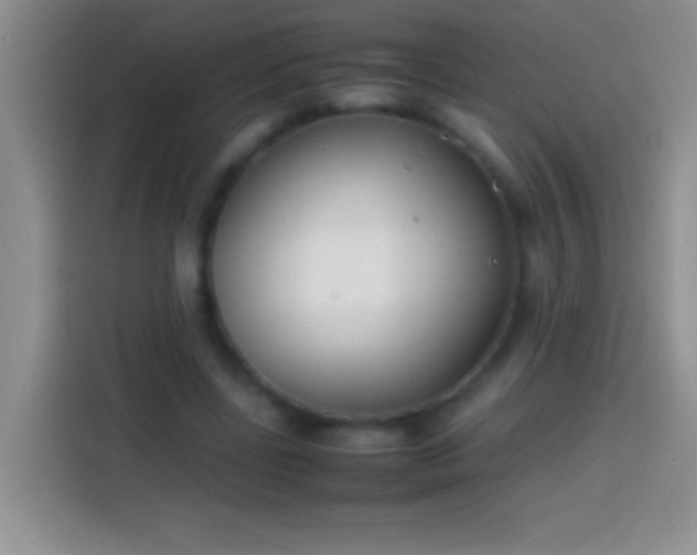 X0000113870539200910011114