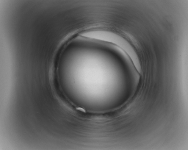 X0000113870540200910011114