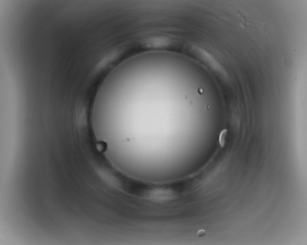 X0000113870543200910011114