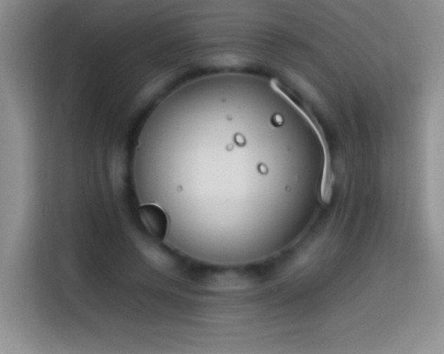 X0000113870544200910011114