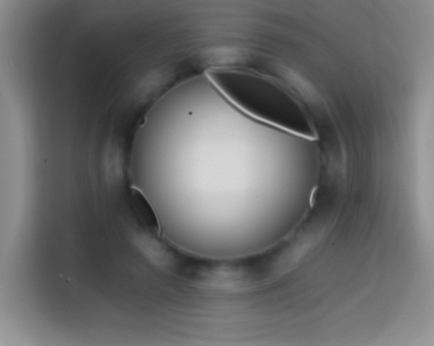 X0000113870546200910011114