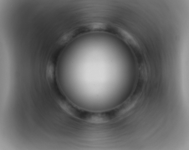 X0000113870550200910011114