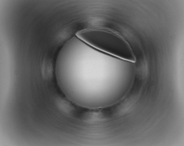 X0000113870552200910011114