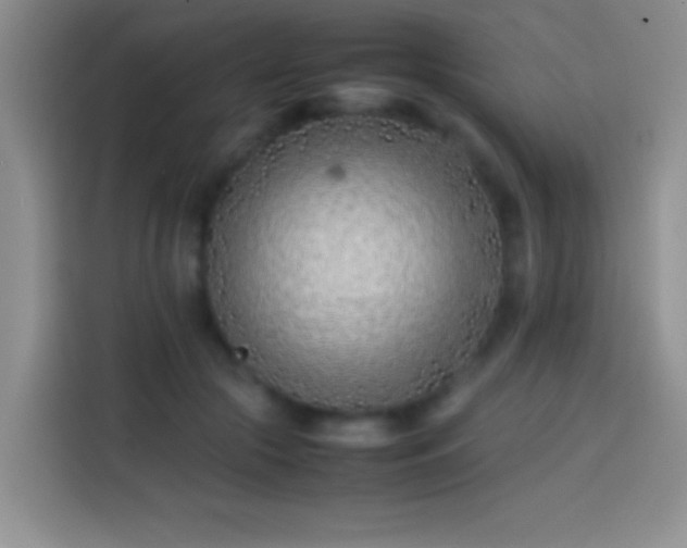 X0000113870553200910011114