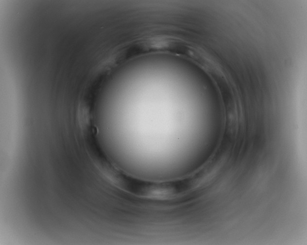 X0000113870555200910011114