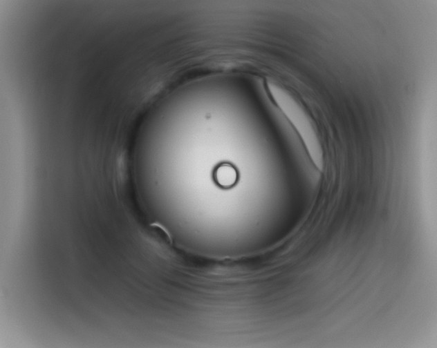 X0000113870556200910011114