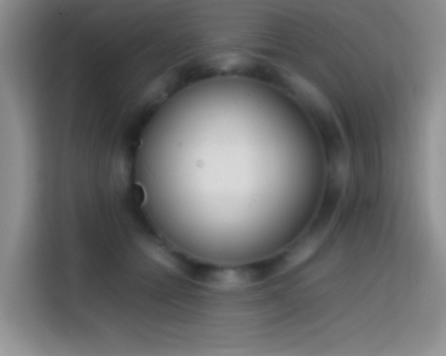 X0000113870558200910011114