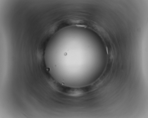 X0000113870559200910011114