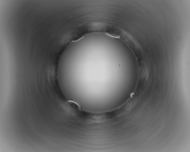 X0000113870560200910011114