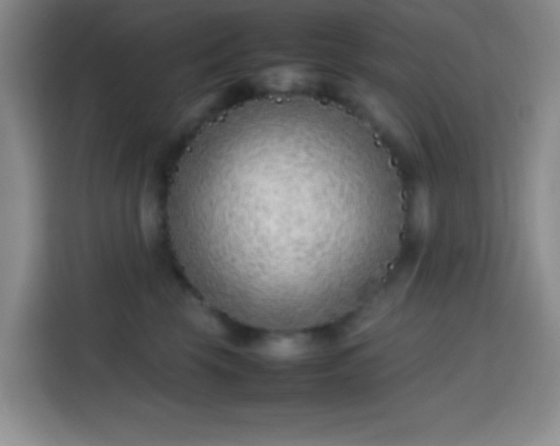 X0000113870569200910011115