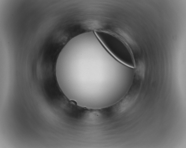 X0000113870572200910011115