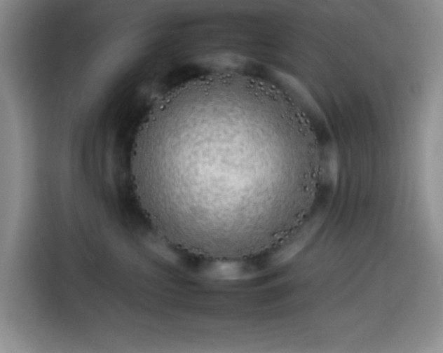 X0000113870573200910011115