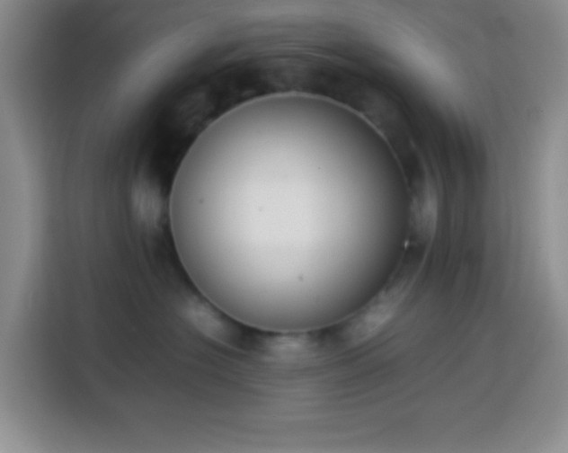 X0000113870574200910011115