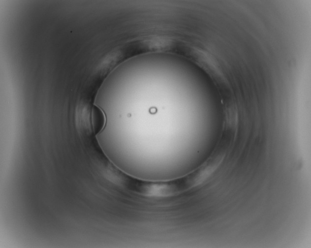 X0000113870575200910011115