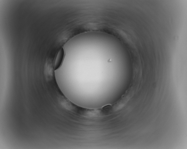 X0000113870576200910011115