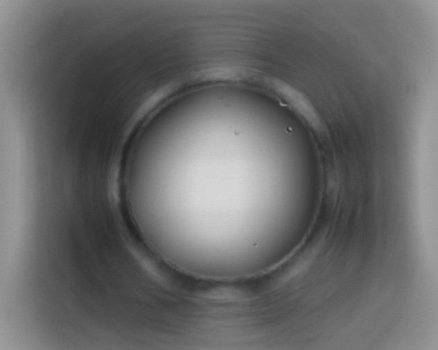 X0000113870578200910011114