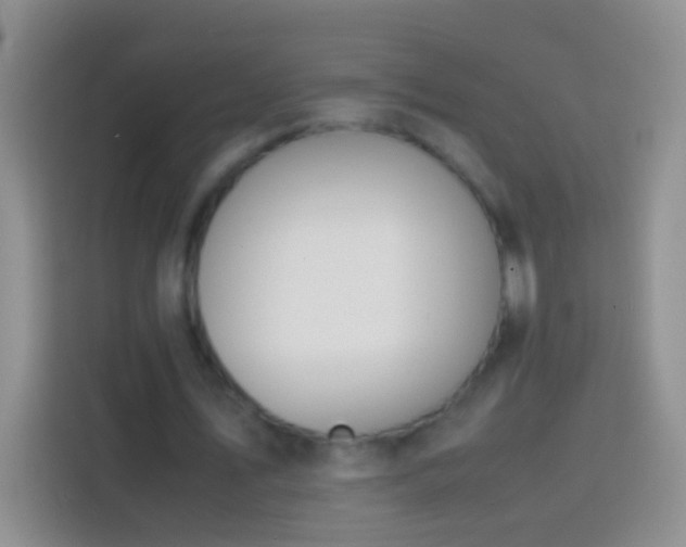 X0000113870579200910011114