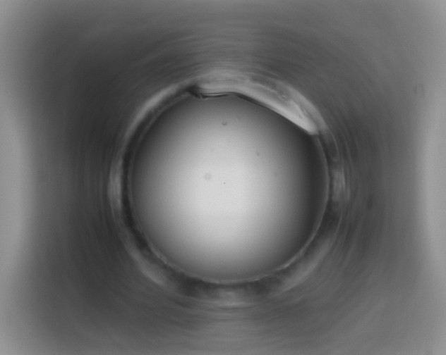 X0000113870580200910011114