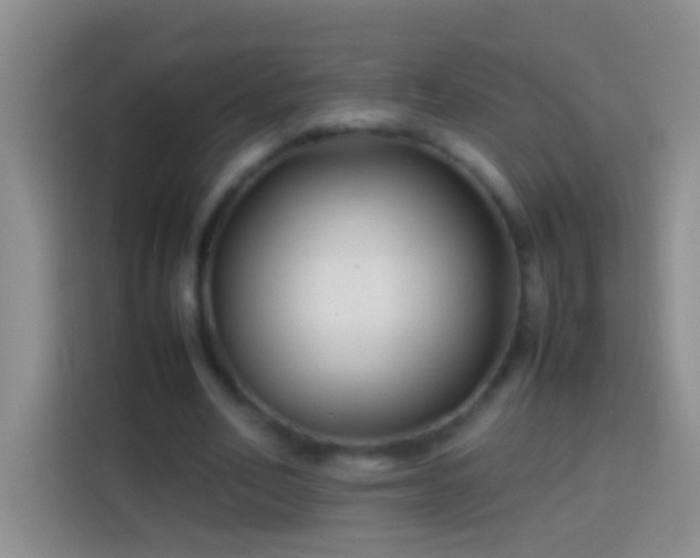 X0000113870582200910011114