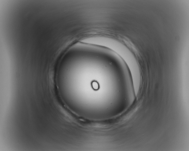 X0000113870585200910011114