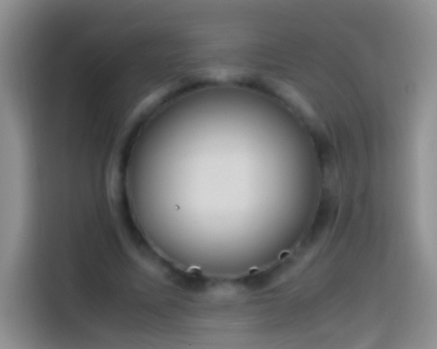 X0000113870587200910011114