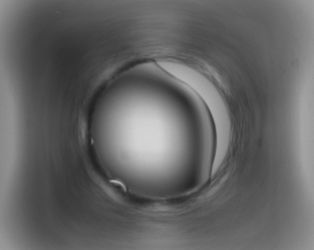 X0000113870589200910011114