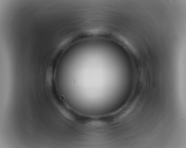 X0000113870590200910011114