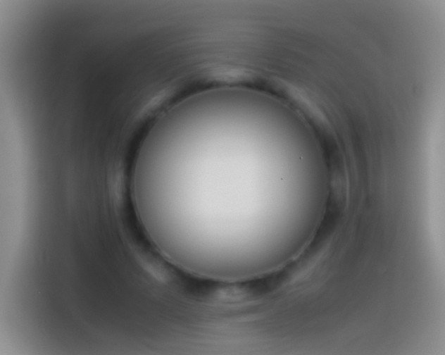 X0000113870591200910011114