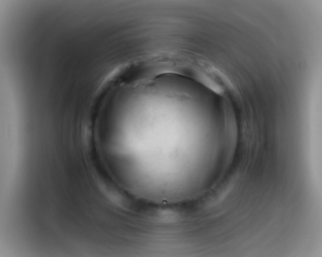 X0000113870592200910011114