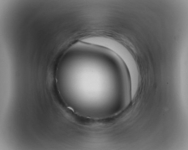 X0000113870593200910011114